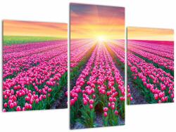 Mivali Tablou cu câmp de lalele cu soare, din trei bucăți 90x60 cm (V020554V90603PCS)