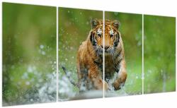 Mivali Tablou - Tigru care aleargă, din patru bucăți 160x80 cm (V023886V16080)