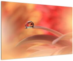 Mivali Tablou picăturii de rouă pe floare, dintr-o bucată 90x60 cm (V022158V9060)