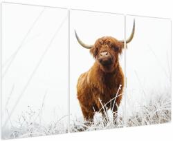 Mivali Tablou - Vacă scoțiană, din trei bucăți 120x80 cm (V023936V120803PCS)