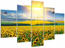Mivali Tablou - Câmp cu floarea soarelui, din cinci bucăți 150x105 cm (V022514V150105)