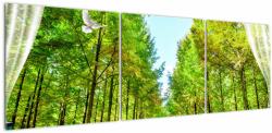 Mivali Tablou - Privire spre pădure, din trei bucăți 150x50 cm (V022867V15050)