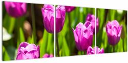 Mivali Tablou cu lale pe luncă, din trei bucăți 120x40 cm (V020893V12040)