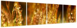 Mivali Tablou - Detaliu rouă, din patru bucăți 160x40 cm (V023768V16040)