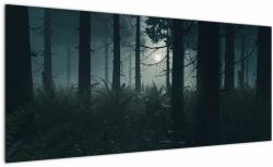 Mivali Tablou - Ferigi în lumina lunii, dintr-o bucată 100x40 cm (V022890V10040)