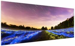 Mivali Tablou cu câmp colorat, dintr-o bucată 250x125 cm (V020476V250125)