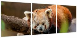 Mivali Tablou cu panda roșie (cu ceas), din trei bucăți 90x30 cm cu ceas (V020184V9030C)