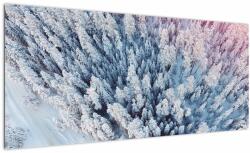 Mivali Tablou cu copaci înzăpeziți, dintr-o bucată 100x40 cm (V021172V10040)