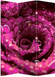 Mivali Paravan - Floarea trandafirului roz, din 3 bucăți, 126x170 cm (P020056P135180)