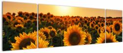 Mivali Tablou - Floarea soarelui, din trei bucăți 170x50 cm (V022507V17050)