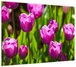 Mivali Tablou pe sticlă cu lale pe luncă, dintr-o bucată 70x50 cm pe sticlă (V020893V7050GD)