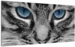 Mivali Tablou pe sticlă cu pisica, dintr-o bucată 100x50 cm pe sticlă (V021221V10050GD)
