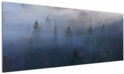Mivali Tablou - Pădure în ceță, Carpați, Ucraina, dintr-o bucată 145x58 cm (V023077V14558)