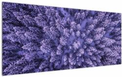 Mivali Tablou cu copacii înzăpeziți, dintr-o bucată 120x50 cm (V021148V12050)