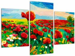 Mivali Tablou - Câmp cu maci, din trei bucăți 90x60 cm (V023365V90603PCS)