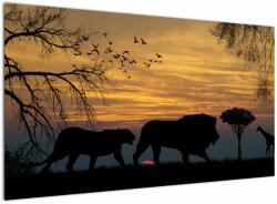 Mivali Tablou cu Safari, dintr-o bucată 120x70 cm (V020692V12070)