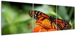 Mivali Tablou cu fluture pe floare, din trei bucăți 150x50 cm (V021244V15050)