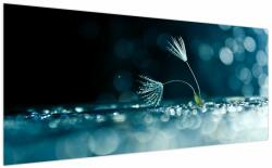 Mivali Tablou - Macro, dintr-o bucată 200x100 cm (V023731V200100)