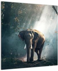 Mivali Tablou cu elefant în djunglă, dintr-o bucată 50x50 cm (V020490V5050)