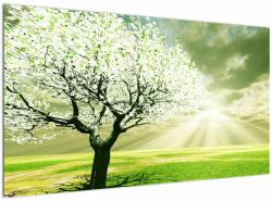 Mivali Tablou cu copaci pe luncă, dintr-o bucată 120x70 cm (V021282V12070)