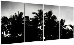 Mivali Tablou alb negru - palmieri, din patru bucăți 160x80 cm (V021530V16080)