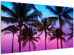 Mivali Tablou - Palmieri din Miami, dintr-o bucată 120x70 cm (V022477V12070)