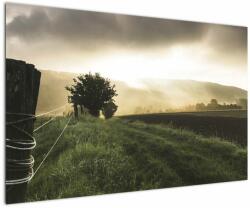 Mivali Tabloucu luncă, dintr-o bucată 120x80 cm (V020699V12080)