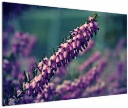 Mivali Tablou cu lavanda, dintr-o bucată 120x80 cm (V020539V12080)
