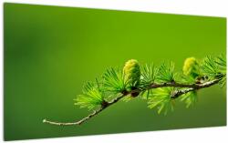 Mivali Tablou pe sticlă con verde, dintr-o bucată 100x50 cm pe sticlă (V020627V10050GD)