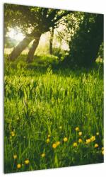 Mivali Tablou cu natura - lunca, dintr-o bucată 50x70 cm (V020157V5070)