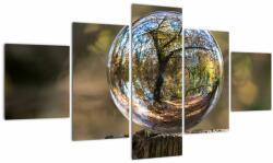 Mivali Tablou - Reflecție intr-o sferă transparentă, din cinci bucăți 125x70 cm (V022641V12570)