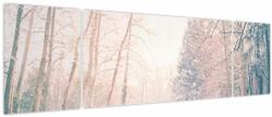 Mivali Tablou - Priveliște pădure, din trei bucăți 170x50 cm (V023809V17050)