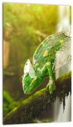 Mivali Tablou - cameleon, dintr-o bucată 20x30 cm (V020277V2030)