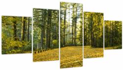 Mivali Tablou - pădurea toamna (cu ceas), din cinci bucăți 150x80 cm cu ceas (V020218V15080C)