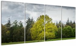 Mivali Tablou - Copac verde în câmp, din patru bucăți 160x80 cm (V022540V16080)