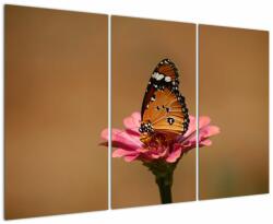 Mivali Tablou cu fluture pe floare, din trei bucăți 120x80 cm (V020268V120803PCS)
