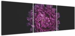 Mivali Tablou cu floare violetă, din trei bucăți 150x50 cm (V020427V15050)