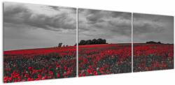 Mivali Tablou cu maci, din trei bucăți 150x50 cm (V020987V15050)