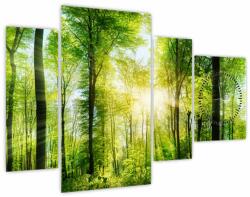 Mivali Tablou - Răsărit în pădure (cu ceas), din patru bucăți 110x75 cm cu ceas (V022345V11075C)