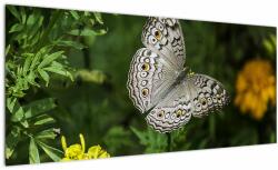 Mivali Tablou - fluture alb, dintr-o bucată 100x40 cm (V020576V10040)