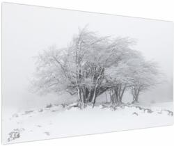 Mivali Tablou - Iarnă albă, dintr-o bucată 150x100 cm (V022824V150100)