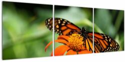 Mivali Tablou cu fluture pe floare, din trei bucăți 120x40 cm (V021244V12040)