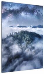 Mivali Tablou pădurii în ceață, dintr-o bucată 50x70 cm (V022302V5070)