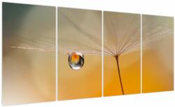 Mivali Tablou - Flori macro, din patru bucăți 160x80 cm (V023889V16080)