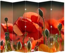 Mivali Paravan - Flori de maci, din 5 bucăți, 210x170 cm (P020267P225180)