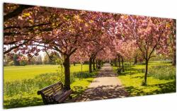 Mivali Tablou - livada cu cireși, dintr-o bucată 120x50 cm (V020679V12050)