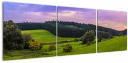 Mivali Tablou cu lunca, din trei bucăți 150x50 cm (V020343V15050)