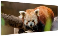 Mivali Tablou cu panda roșie, dintr-o bucată 100x40 cm (V020184V10040)