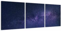 Mivali Taglou cu galaxie, din trei bucăți 90x30 cm (V020327V9030)