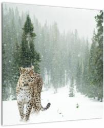 Mivali Tablou cu leopard în zăpadă, dintr-o bucată 50x50 cm (V020880V5050)